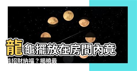 龍龜 房間|龍龜擺放風水秘訣：臥室中的最佳位置 